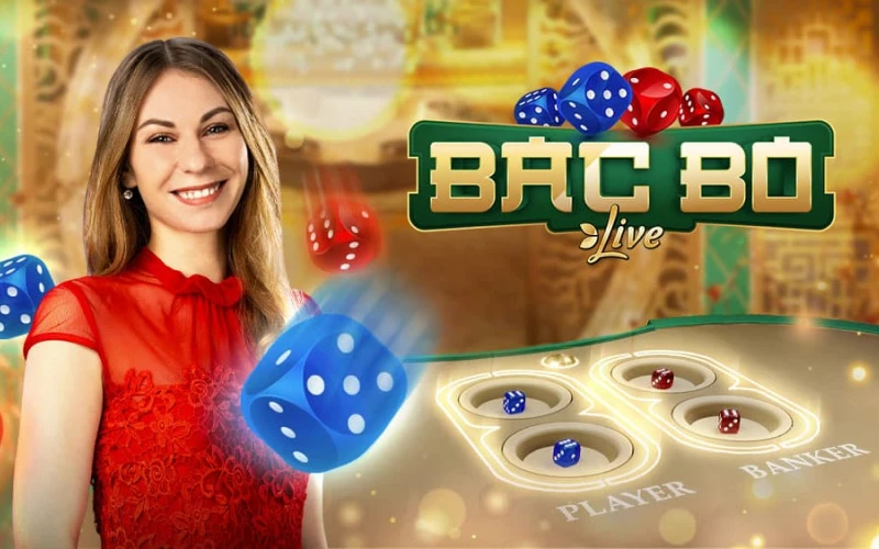 Place your bet at 1win Bac Bo game and get a winning.