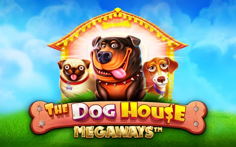 Obtenez des tours gratuits dans The Dog House Megaways sur 1win.